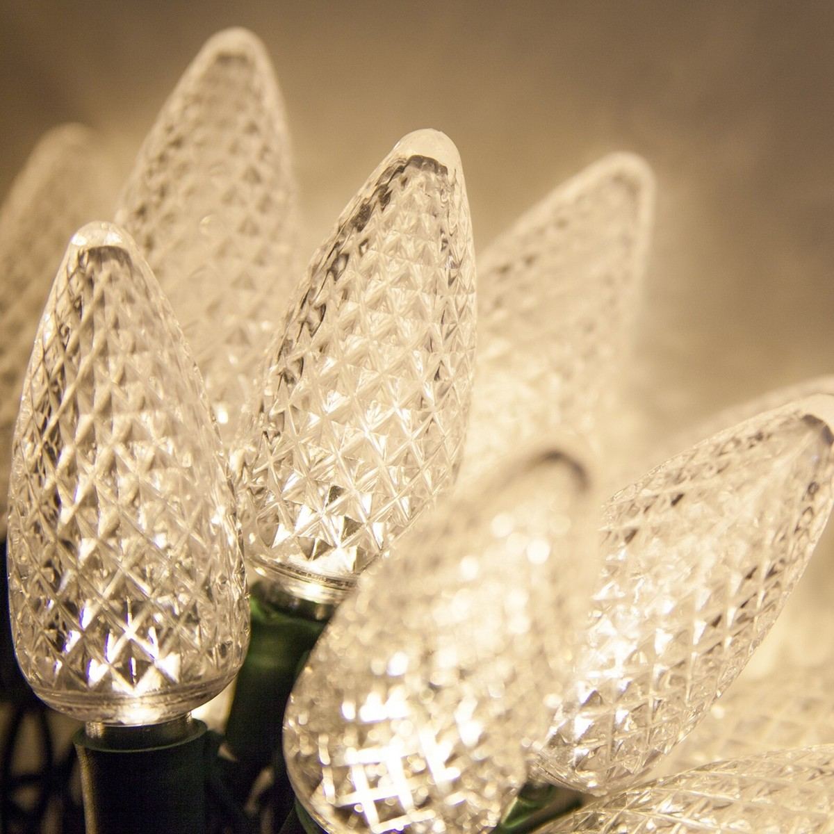 Close-up of commercial-grade C9 bulbs